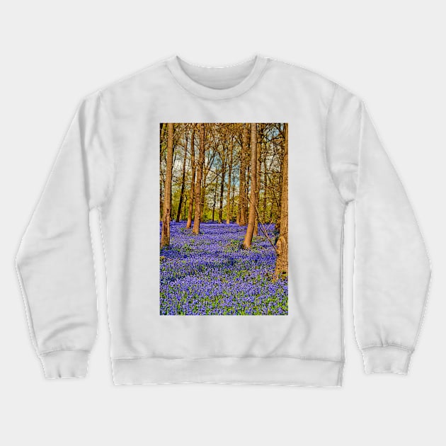 Bluebell Woods Greys Court Oxfordshire England Crewneck Sweatshirt by AndyEvansPhotos